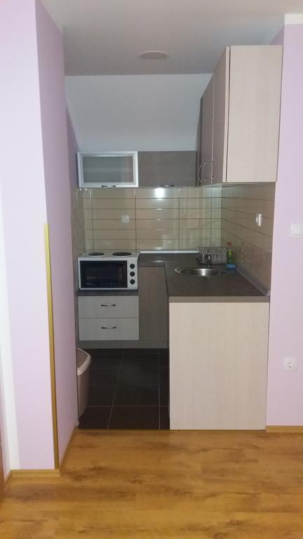 Apartmani Aleksijevic Zlatibor Ngoại thất bức ảnh