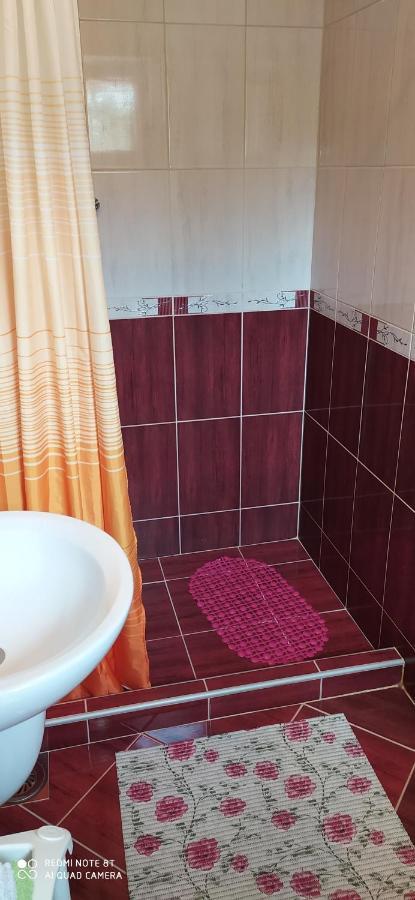 Apartmani Aleksijevic Zlatibor Ngoại thất bức ảnh