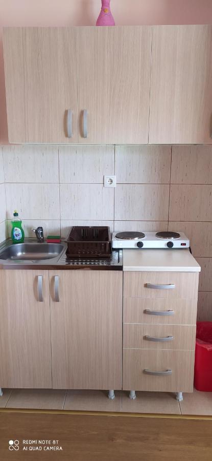 Apartmani Aleksijevic Zlatibor Ngoại thất bức ảnh