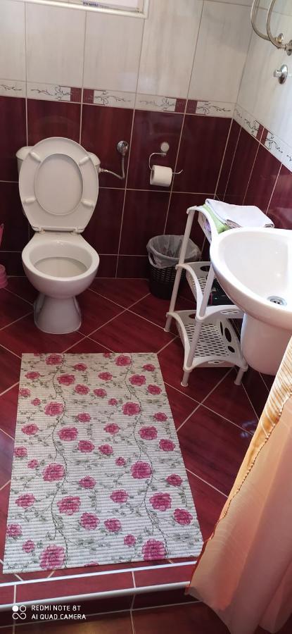 Apartmani Aleksijevic Zlatibor Ngoại thất bức ảnh