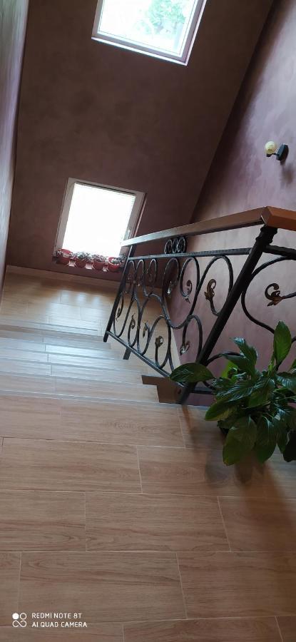 Apartmani Aleksijevic Zlatibor Ngoại thất bức ảnh